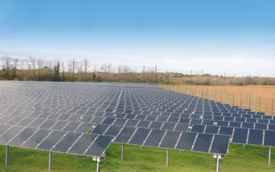 Janvier 2020 – Partenariat avec Neoen pour un parc solaire à Réaup-Lisse